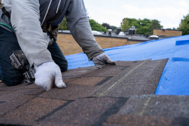 Best Roof Gutter Cleaning  in Shingletown, CA